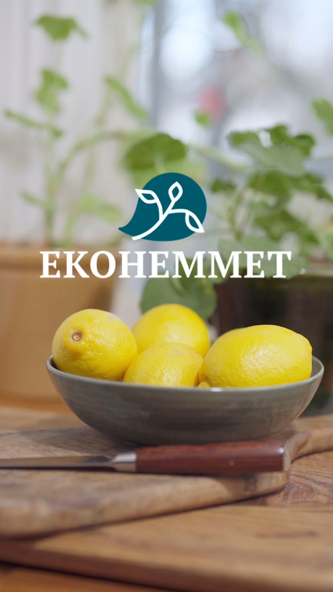 Ekohemmet